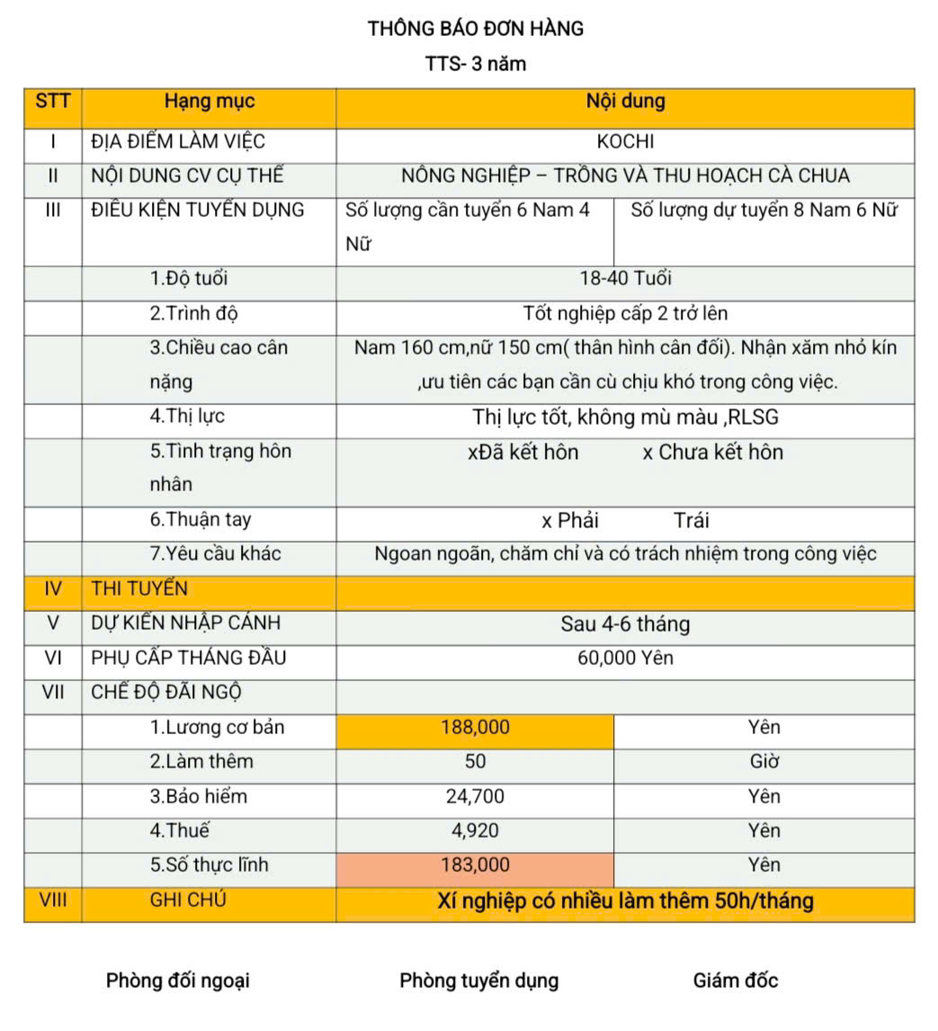 Đơn hàng TTS nông nghiệp trồng và thu hoạch cà chua Kochi